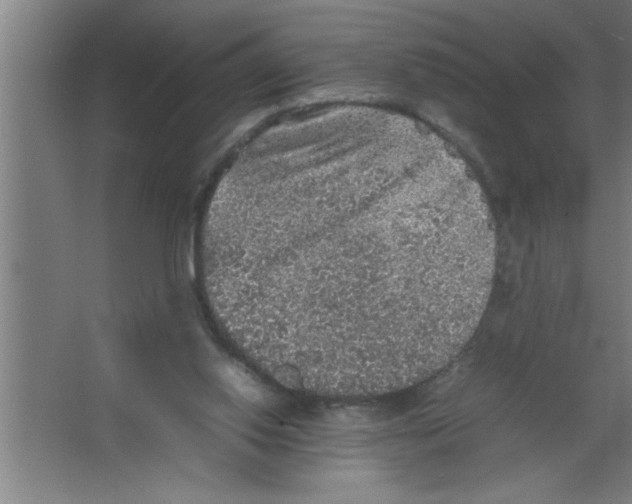 X0000067460062200604281839