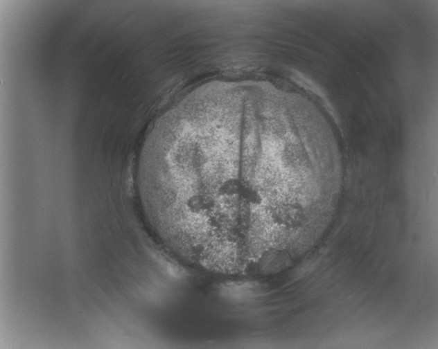 X0000067460065200604281839