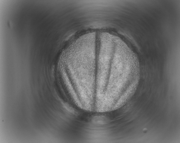 X0000067460066200604281839