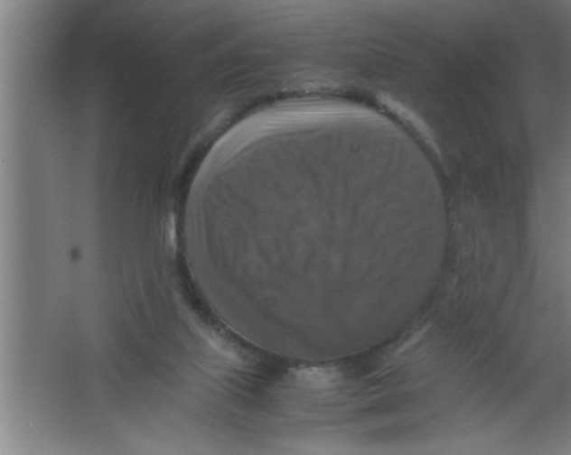 X0000067460067200604281839