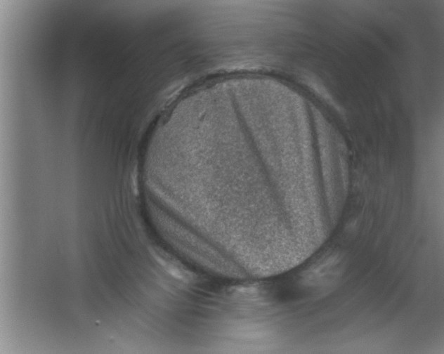 X0000067460068200604281839