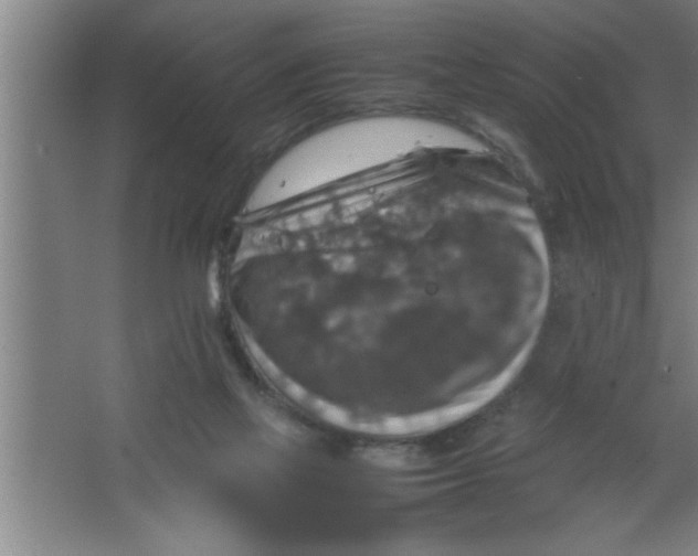 X0000067460069200604281839