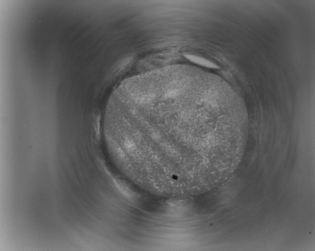 X0000067460070200604281839