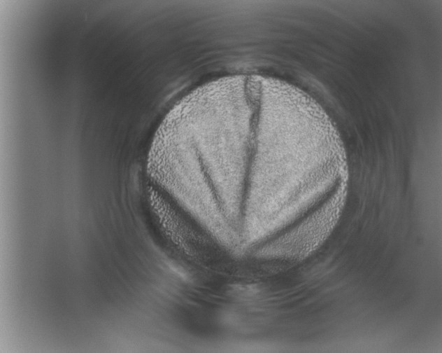 X0000067460071200604281839