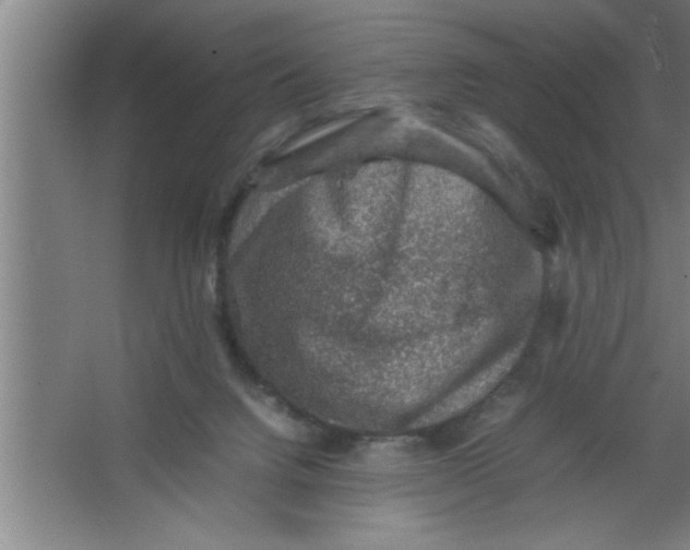 X0000067460072200604281839