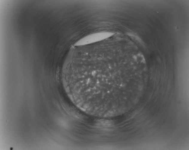 X0000067460073200604281839