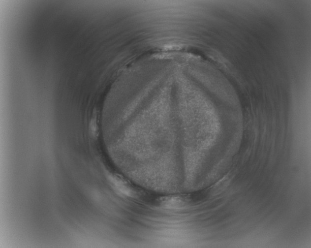 X0000067460074200604281839