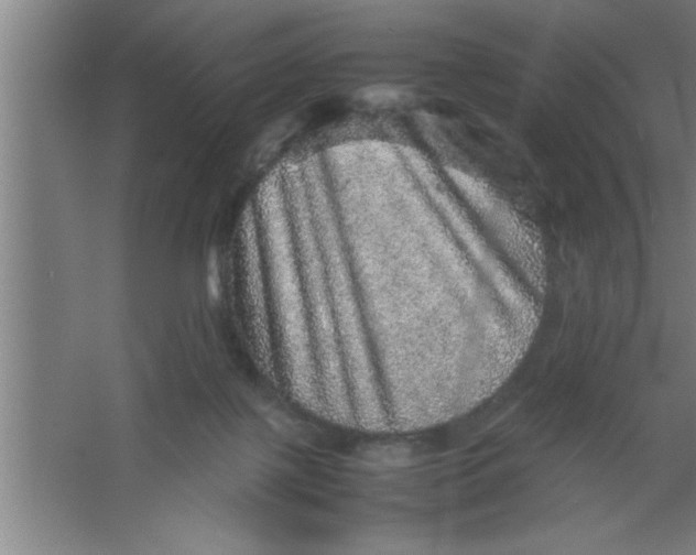 X0000067460075200604281839