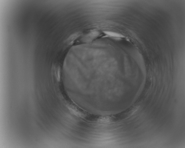 X0000067460076200604281839