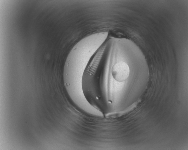 X0000067460077200604281839