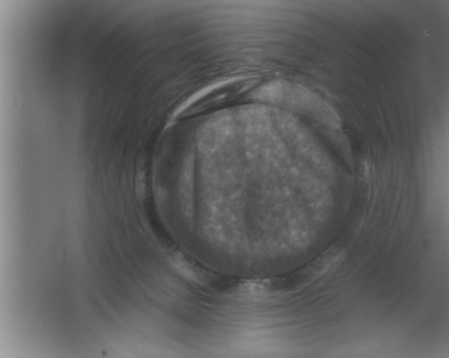 X0000067460080200604281839