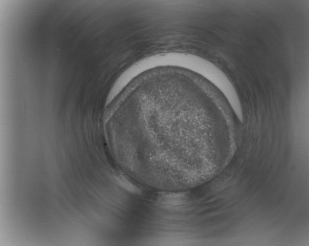 X0000067460081200604281839