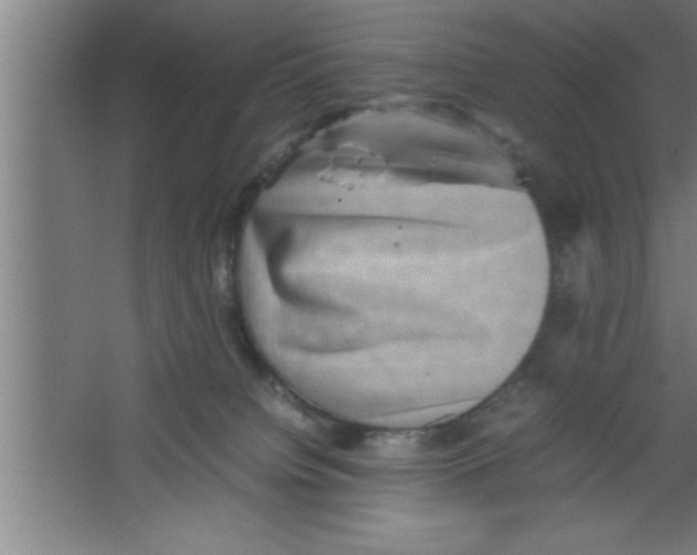 X0000067460084200604281839