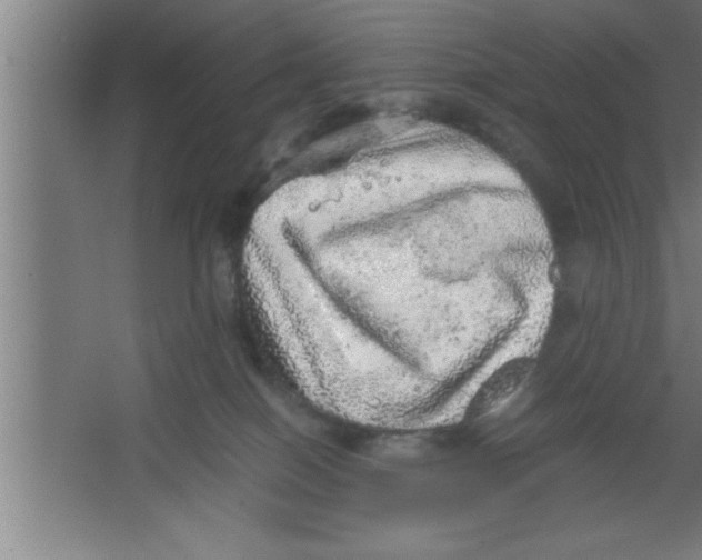 X0000067460086200604281839