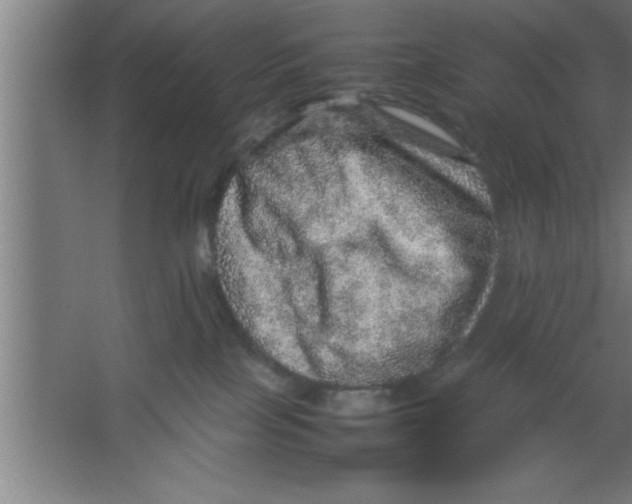 X0000067460089200604281839