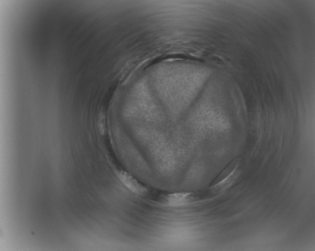 X0000067460090200604281839