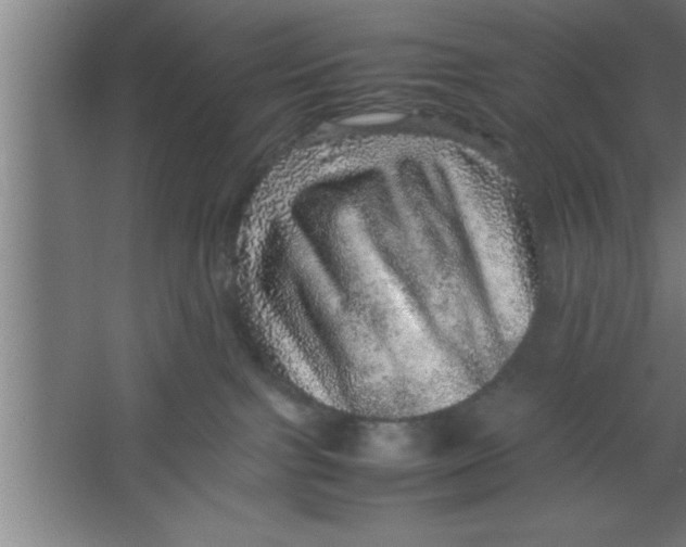 X0000067460091200604281839