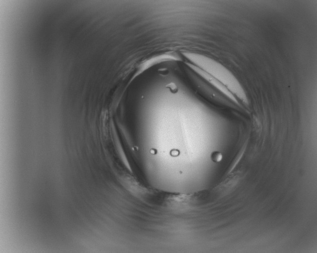 X0000067460092200604281839