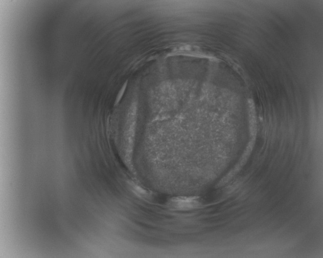 X0000067460093200604281839