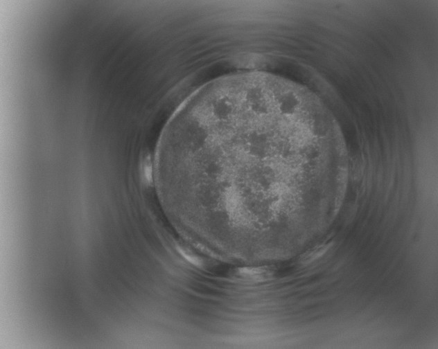 X0000067460095200604281839