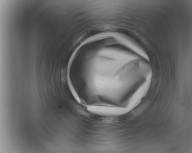 X0000067460096200604281839