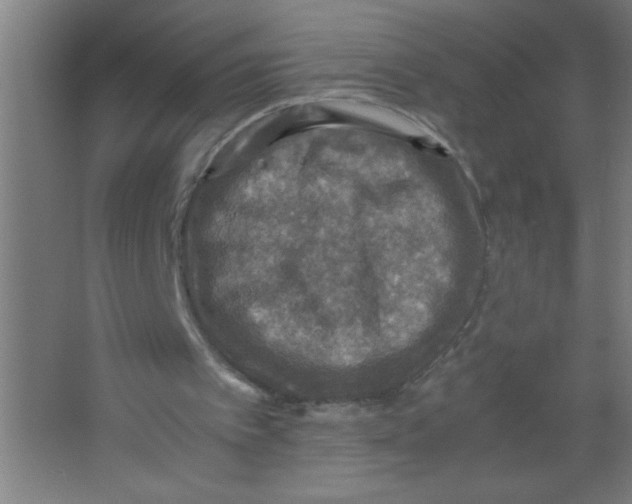 X0000067460097200604281838