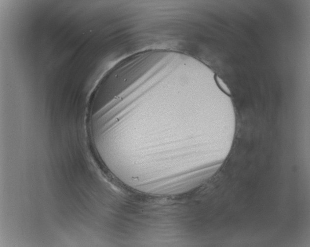 X0000067460098200604281838