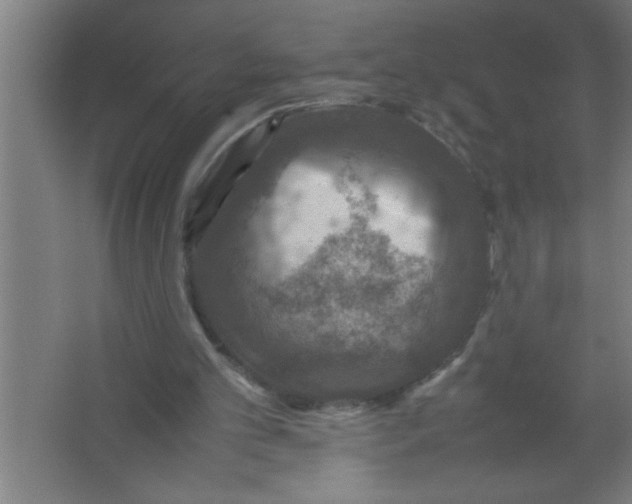 X0000067460101200604281838