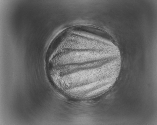 X0000067460103200604281838