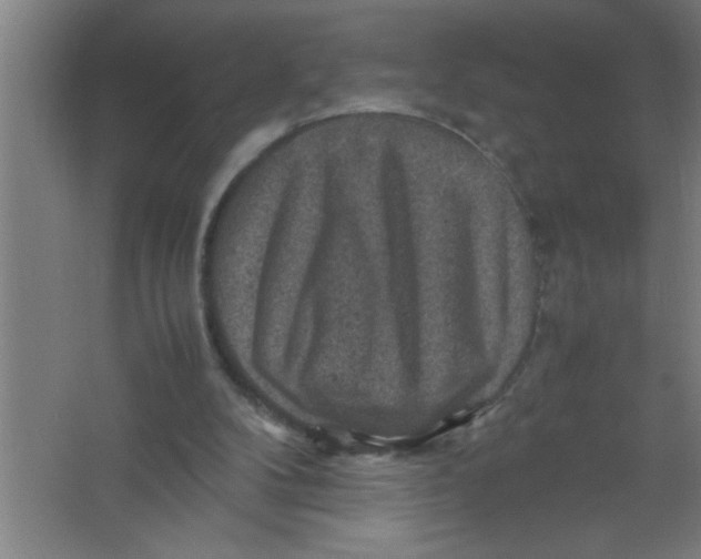 X0000067460104200604281838