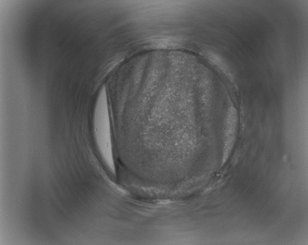 X0000067460105200604281838