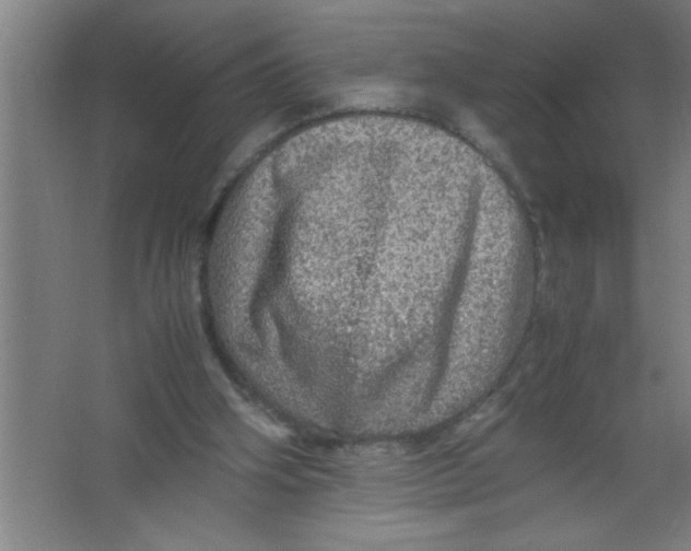 X0000067460106200604281838