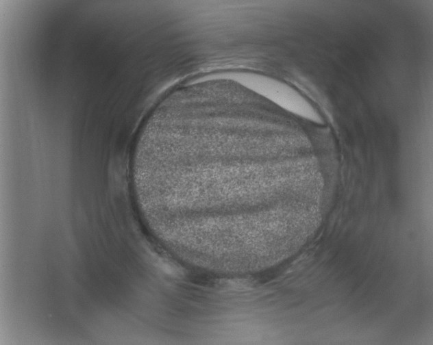 X0000067460107200604281838