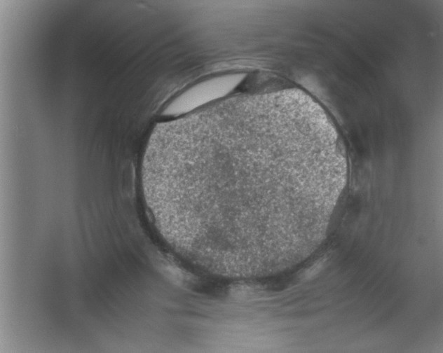 X0000067460109200604281838