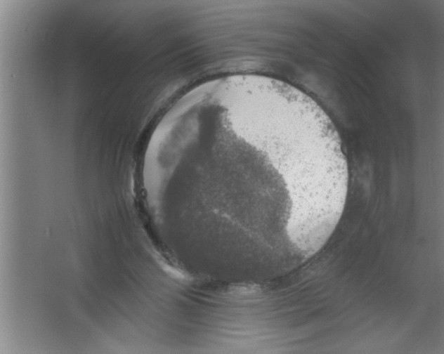 X0000067460110200604281838