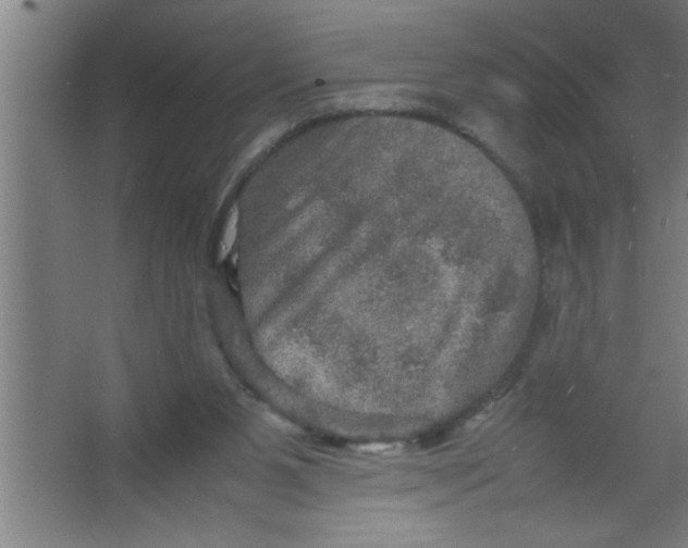 X0000067460111200604281838