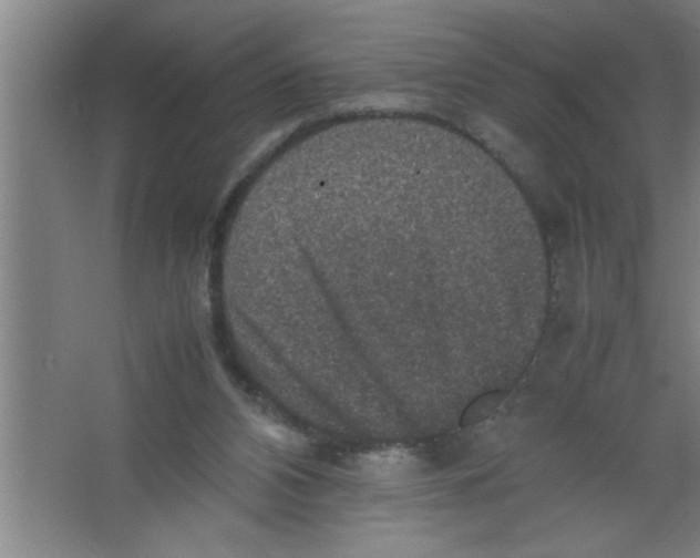 X0000067460112200604281838