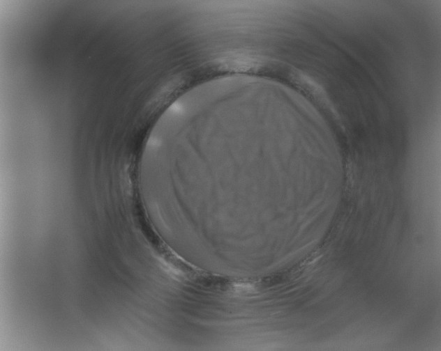 X0000067460114200604281838