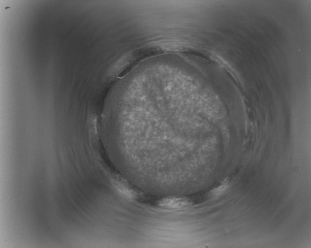 X0000067460117200604281838