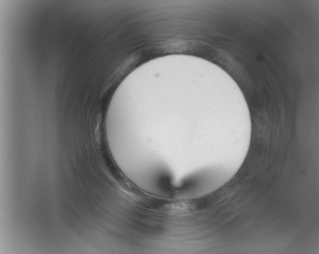 X0000067460118200604281838