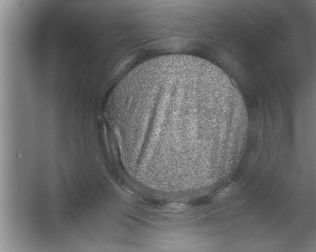 X0000067460119200604281838