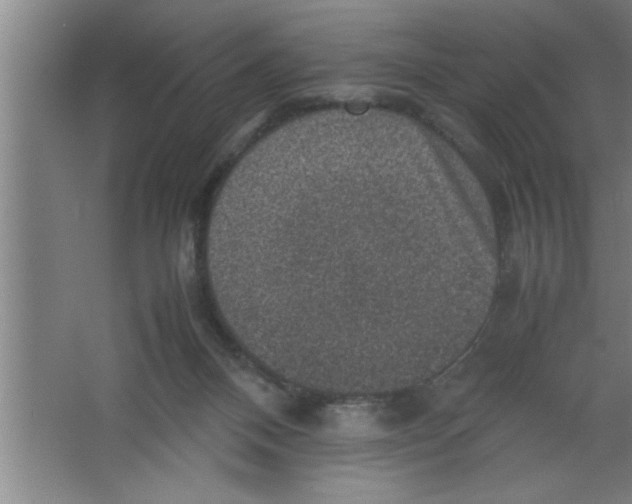 X0000067460120200604281838