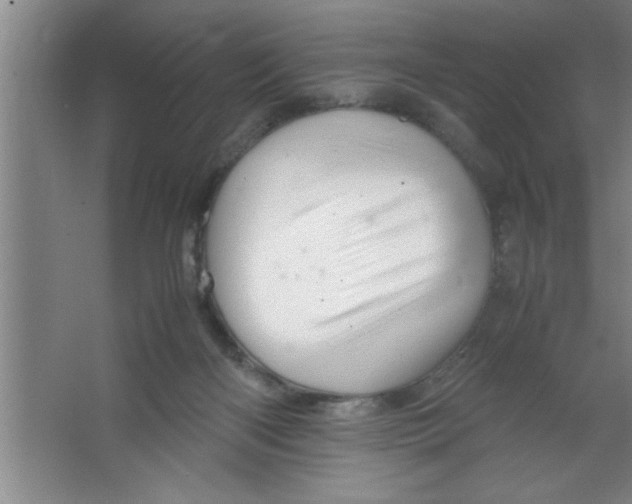 X0000067460122200604281838