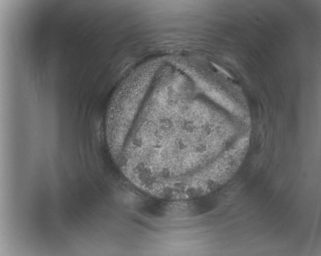 X0000067460123200604281838