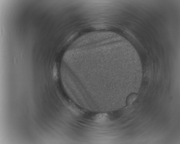 X0000067460124200604281838