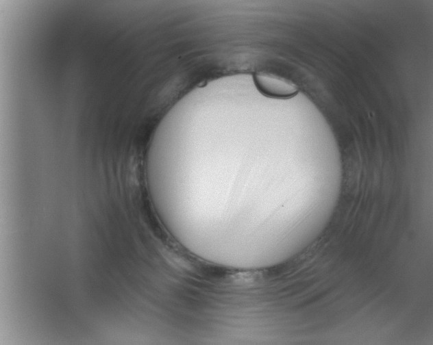 X0000067460126200604281838