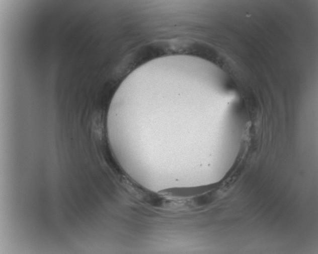 X0000067460129200604281838