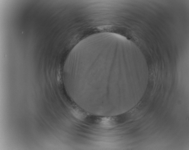 X0000067460130200604281838