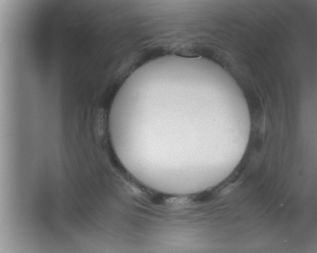 X0000067460133200604281838