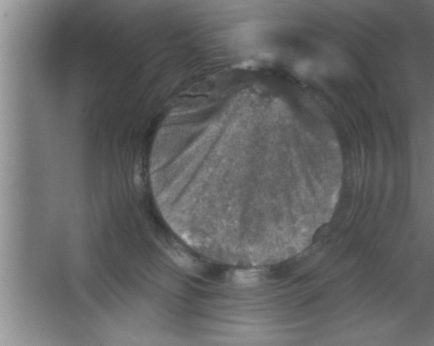 X0000067460134200604281838